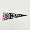 college pennant decoration arcade